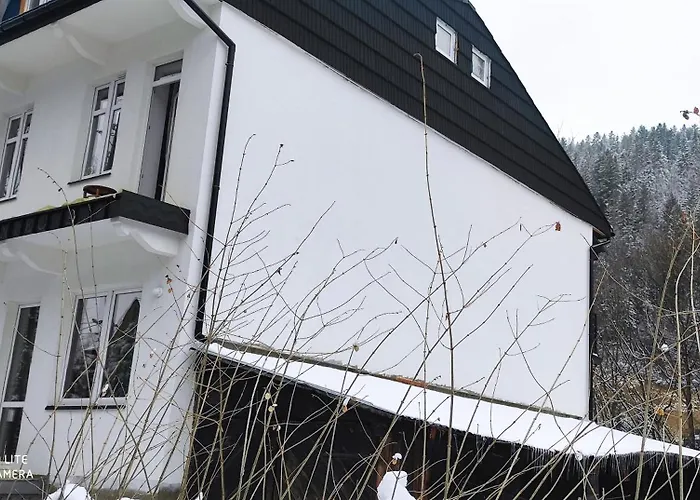 Stary Kamieniec 1 GIEWONT